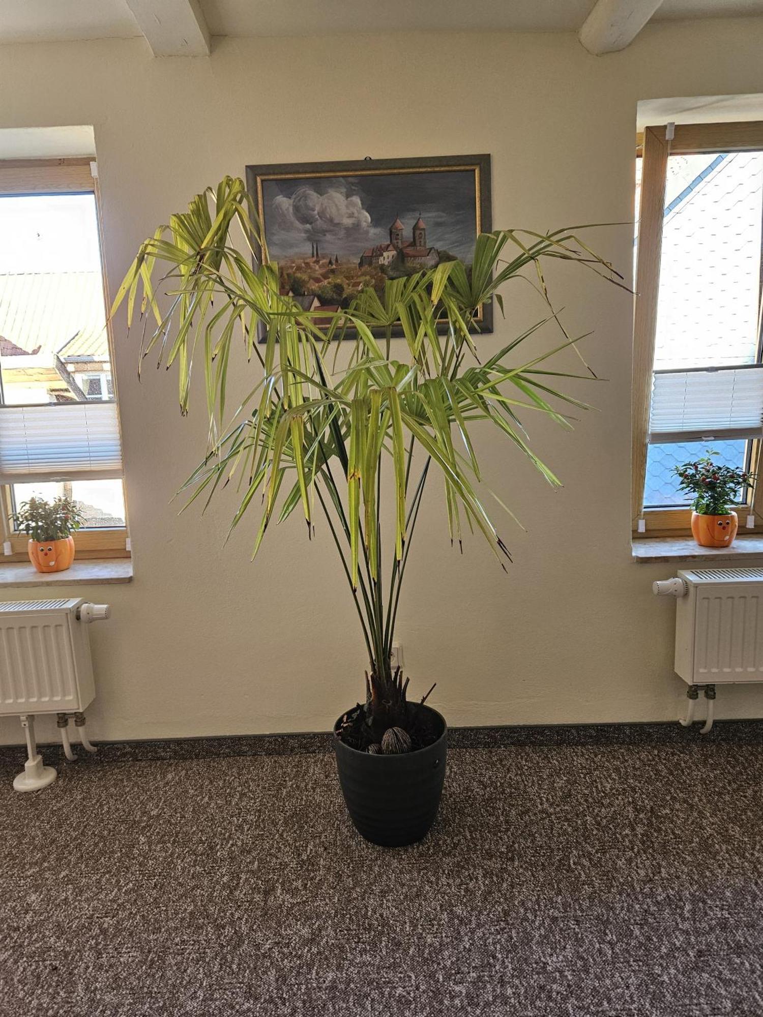 Ferienwohnung Goldstr.7 Quedlinburg Buitenkant foto